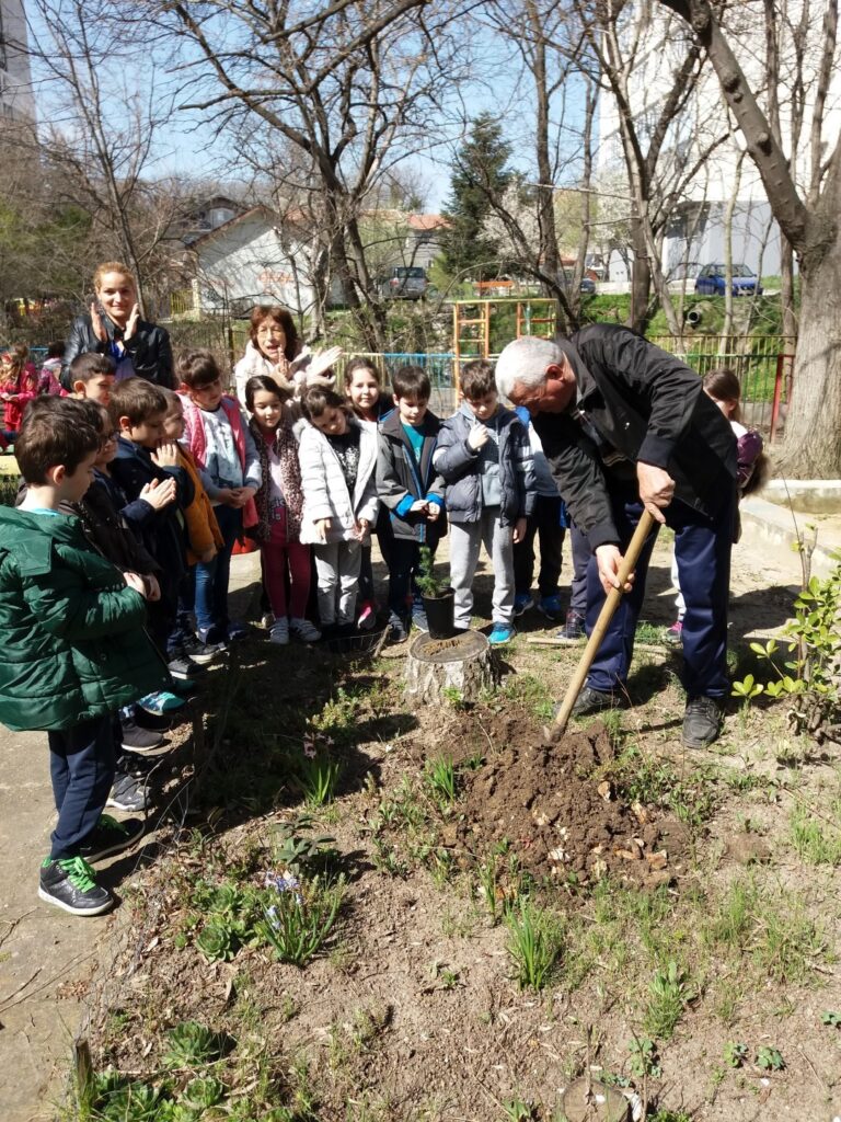 Forest Week - Planting Cedar Trees