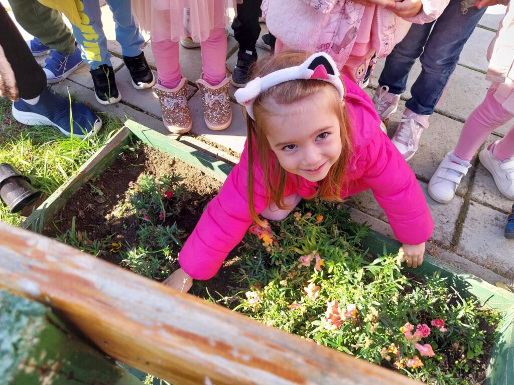 Our Little Garden